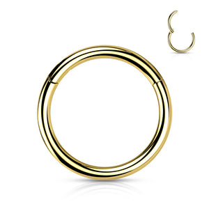 Titanium Seamless Hinged Clicker Hoop