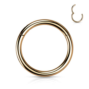 Titanium Seamless Hinged Clicker Hoop