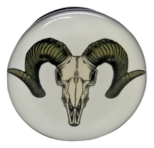 Load image into Gallery viewer, Ram Skull Ear Plugs
